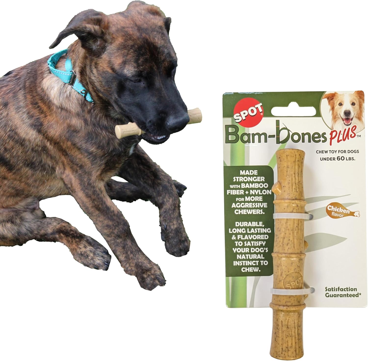 SPOT Bam-Bones Plus Bamboo Stick – Bamboo Fiber & Nylon, Durable Long Lasting Dog Chew for Aggressive Chewers – Great Toy for Adult Dogs & Puppies Under 60lbs, Non-Splintering, 5.25in, Chicken Flavor